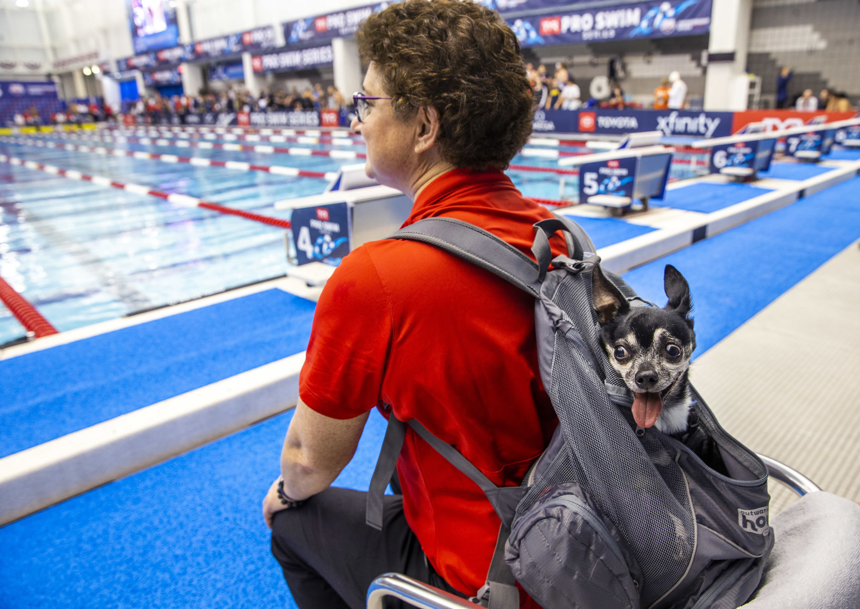 TYR Pro Swim Series finals